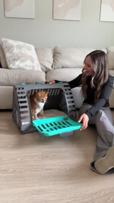 Product hero, pet